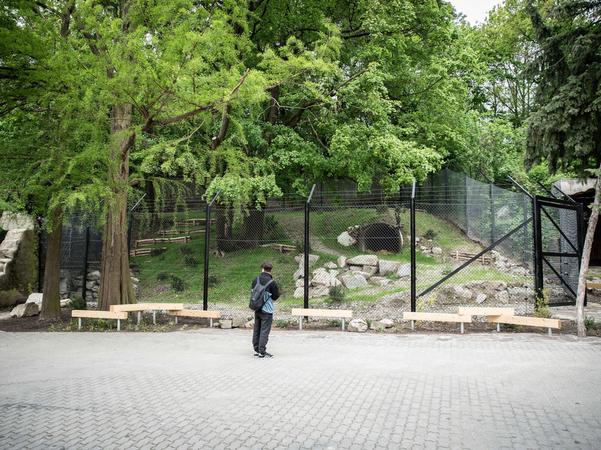 Bear Félix has a new pen in Bratislava.