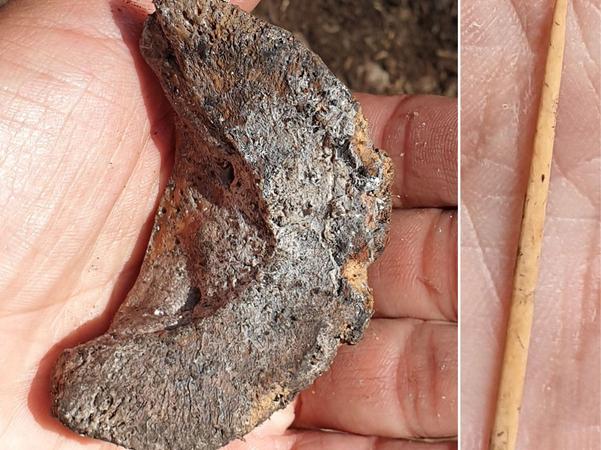 A horse hoof and bone needle.