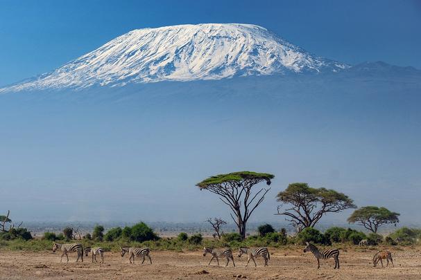 NP Amboseli