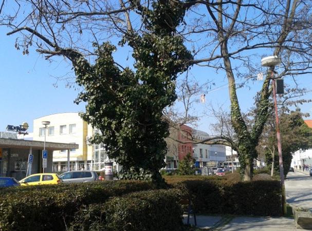 Ulica dnes