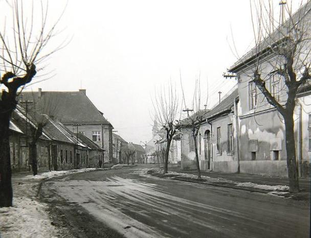 Halenárska ulica