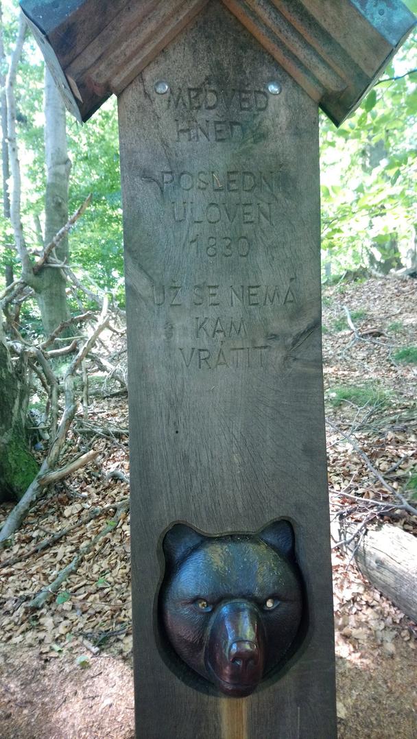 Posledného medveďa tu ulovili v roku 1830 a už sa nemá kam vrátiť...