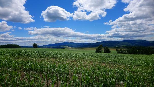 Žitavská pánev poskytuje krásne výhľady