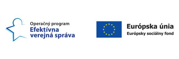 logo evs