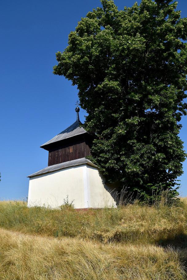 zvonica