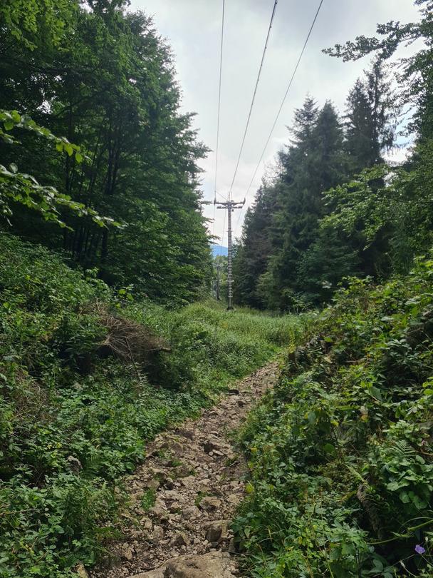 Cesta na Dedinky