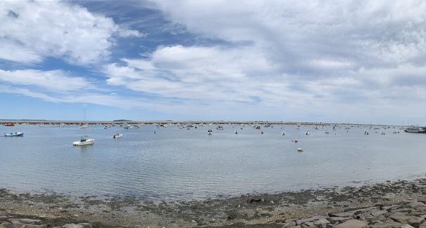 Cape Cod.