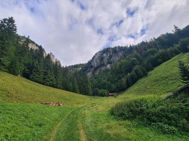 Stratená