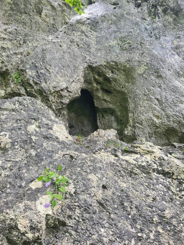 Jaskyňa