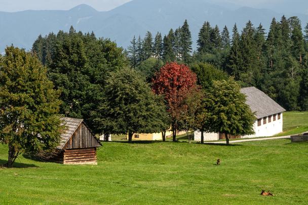 Múzeum slovenskej dediny - OZ Jahodnícke háje