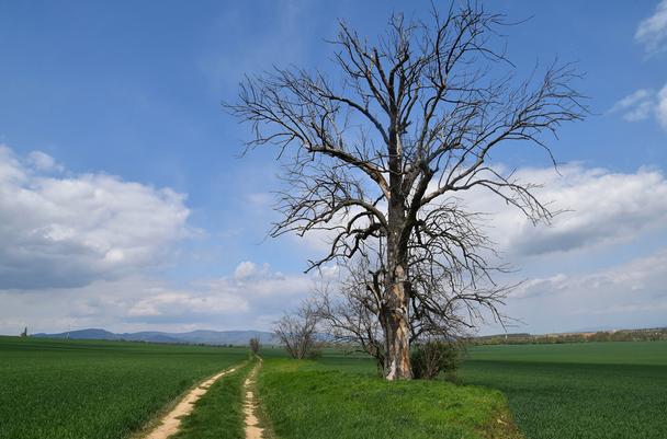 7 poľnými cestičkami