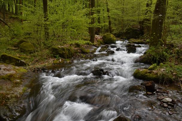 9 Bystričianska dolina