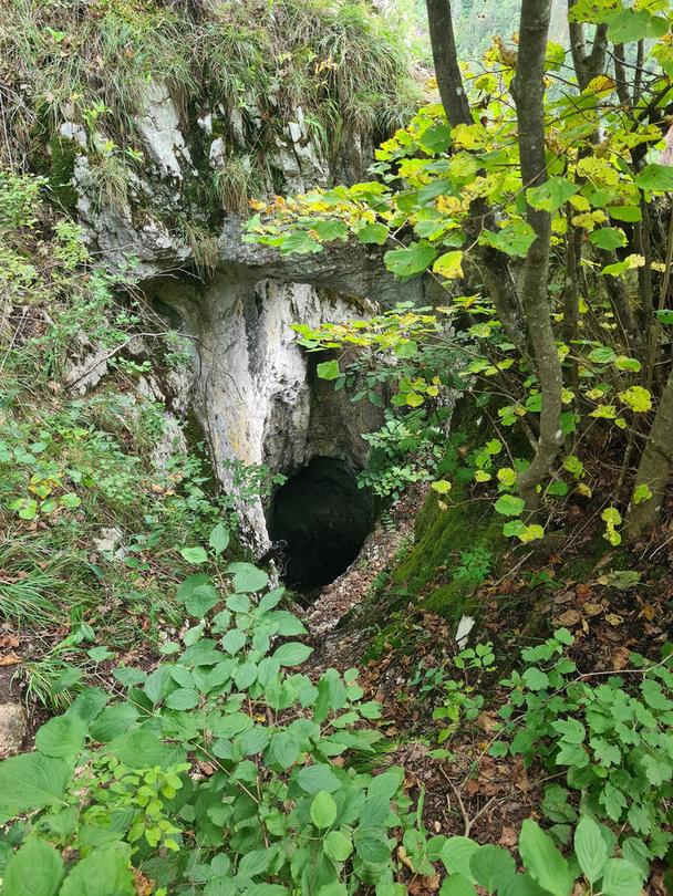 Obrázok blogu
