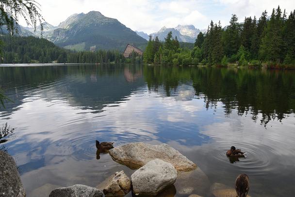 14 Štrbské pleso + kačky