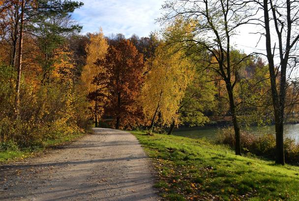 8 jesennou cestičkou