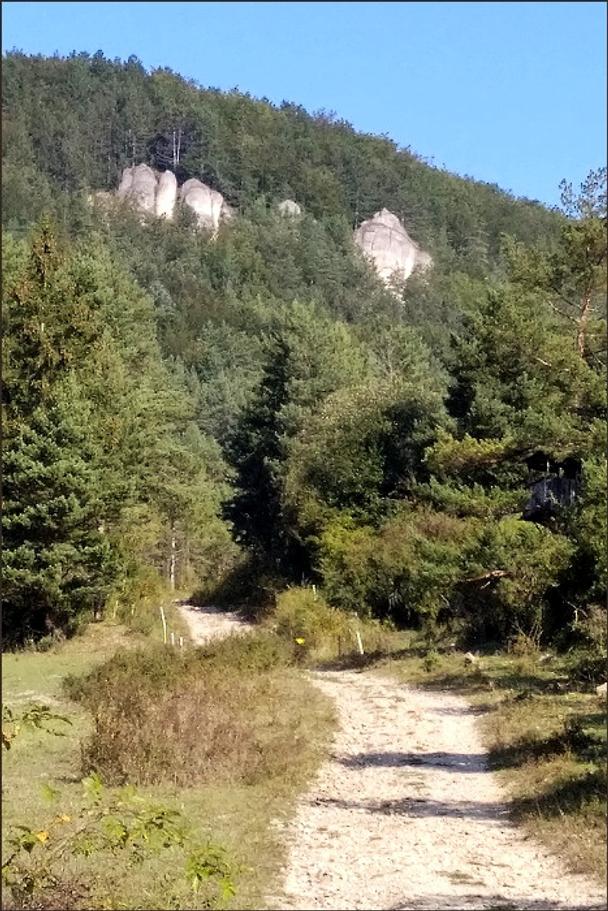 Zo Zbyňova sa ide neďaleko týchto skál, v ktorých je známa Zbyňovská skalná ihla.