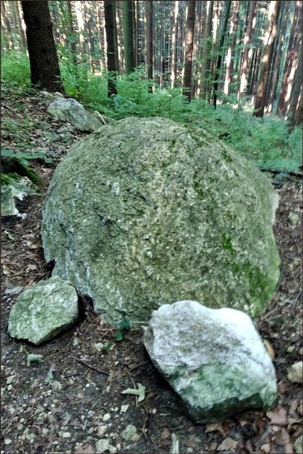 Kysucké kamenné gule sme ešte nevideli, ale aj tu sa vyskytuje "malá" guľka, zrejme dosť podobná tým kysuckým. Nazvali sme si ju kamennou korytnačkou.