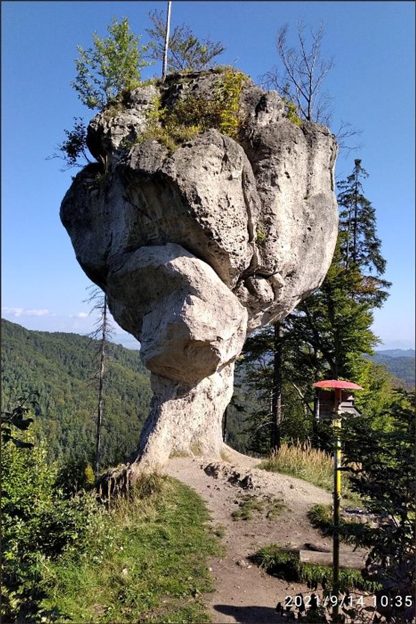 Rozlúčkový pohľad na budzogáň.