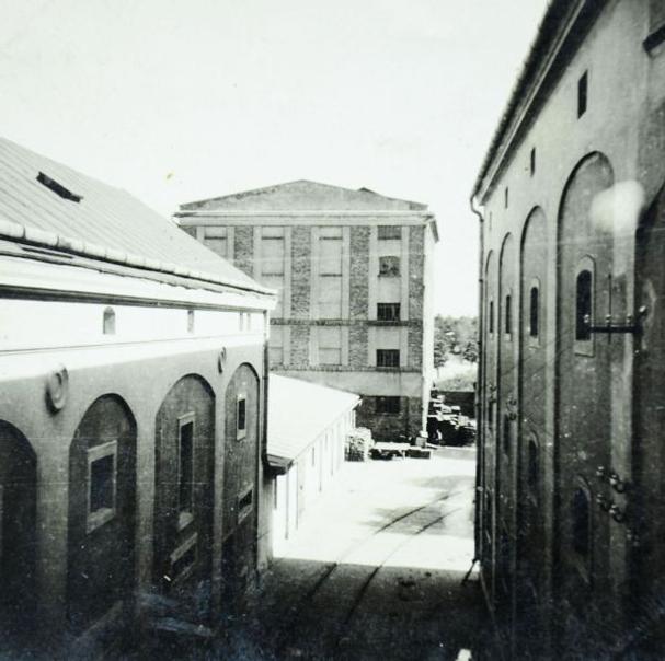 Treumannka
