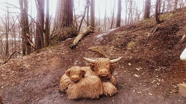 Highland cow som si naživo neodfotila, tak nás aspoň takto sprevádzali počas cesty na vrchol