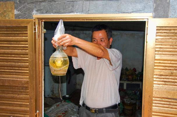 V tejto vietnamskej domácnosti sme na správnom mieste, ocitli sme sa na reálnej exkurzii. Vo fľaši práve prebieha proces výroby „hadej pálenky“. Had sa dostal do fľaše nie tak dávno, je v štádiu kvasenia. Zdá sa mi dokonca, že sa vo fľaši stále mrví.