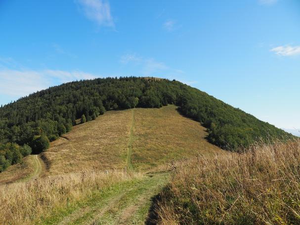 Obrázok blogu