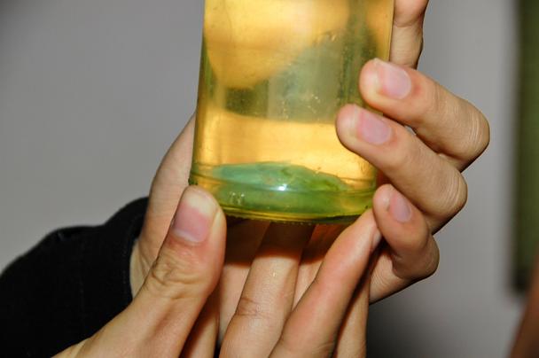 Jedlo sme zvládli, so „špeciálnym alkoholom“ to bolo horšie. Po dvoch pohárikoch hadej krvi sme ochutnali pálenku s haďou žlčou a pečeňou, to je to zelené na dne fľaše. Nič moc, pálenka bola horká.