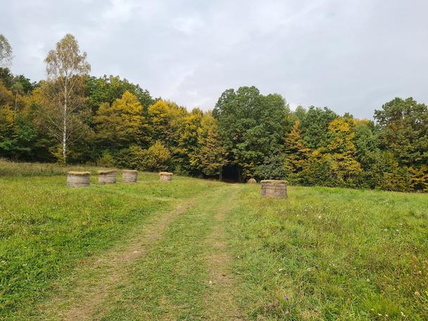 Pod rozhľadňou Horné Lazy