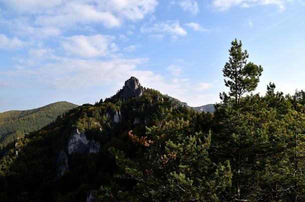 skala oproti
