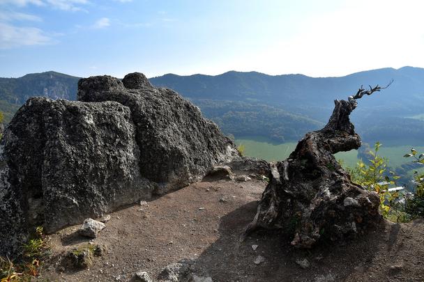 Obrázok blogu