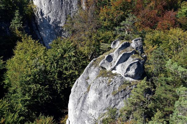 Súľovské skaly - ako kamenné lupene ruže
