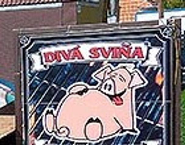 Obrázok blogu