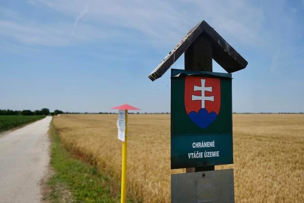 Sysľovské Polia protected area.