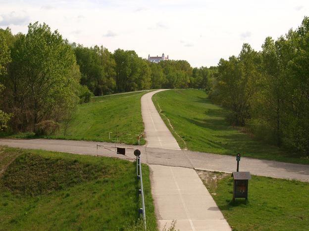 Dunajská hrádza a Pečniansky les.
