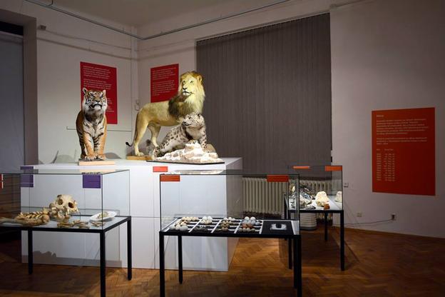 "4 Millions - What We Have Acquired" exhibition in the SNM