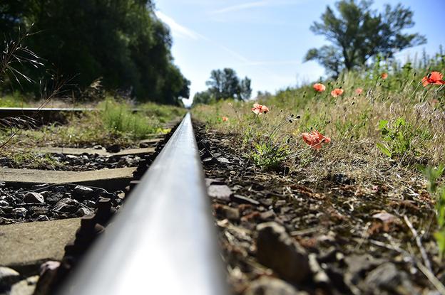 Záhoráčik connects tourism points in Záhorie area.