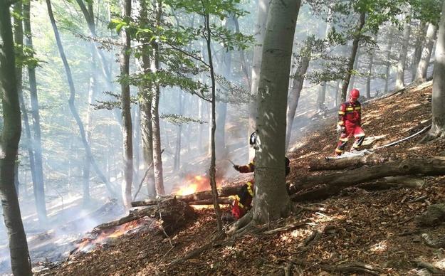 Forest fire in Mala Lodina near Kosice. 