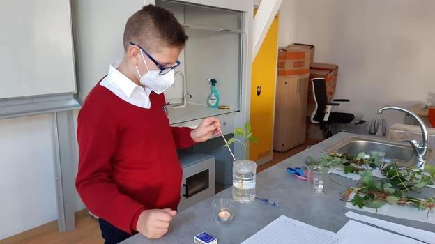 An engaged student in our science lab