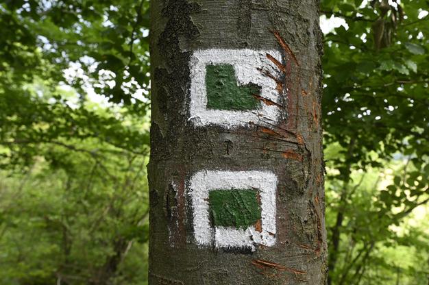 A coloured marker indicates the way to the ruins of Košeca Castle.