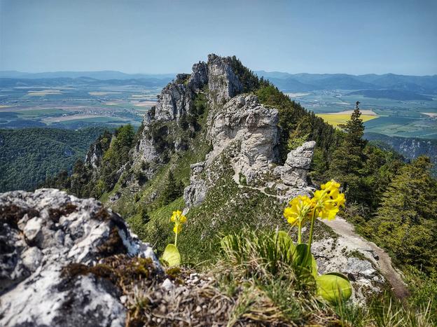 The Ostrá mountain in the Veľká Fatra mountain range, north Slovakia.