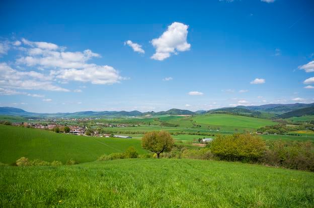 The so-called Love Tree near the village of Jakubova Voľa in eastern Slovakia on April 29. The nickname of the tree comes from the heart-like shape of its canopy.