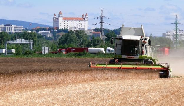Harvest in Berg, Austria.