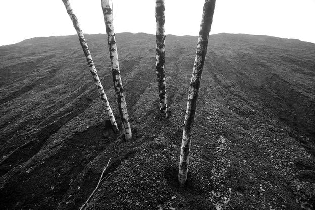 Black and White Land