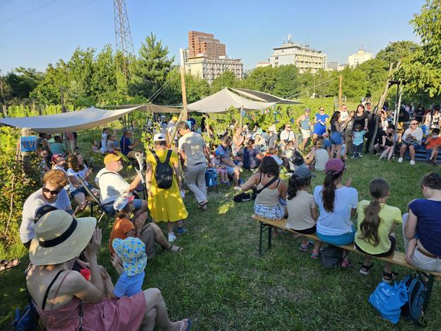 Pionierska community vineyard during the Vineyard Picnic event.