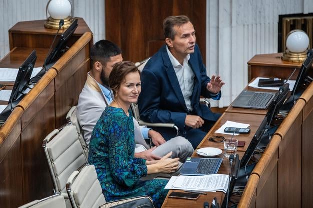 Opposition MP Martina Bajo Holečková