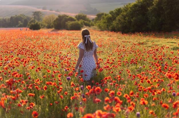 A woman is walking in the middle of the flowering opium poppy and common poppy field near the town of Rajec, northern Slovakia.