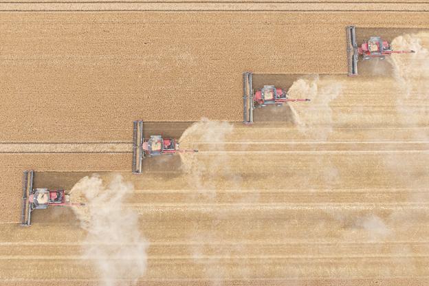 Harvesting of winter barley in the fields near Dunajská Streda, southern Slovakia, on June 20, 2025.