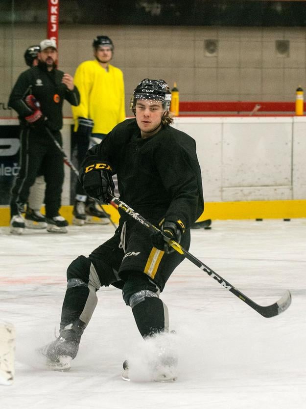 Tag Bertuzzi, syn obávaného hokejistu.
