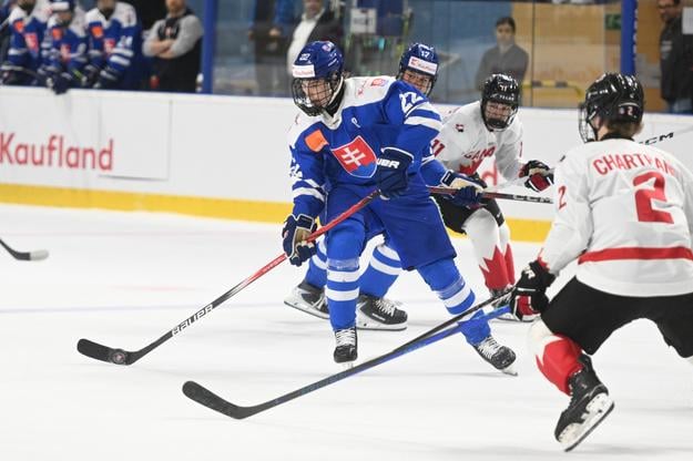 Kapitán Adam Goljer (v modrom) bol opora Slovenska na domácom Hlinka Gretzky Cupe.