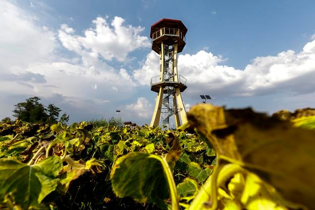 Near the village of Golianovo in the Nitra district stands a wooden observation tower anchored on four reinforced concrete pillars. The structure rises 22 metres, offering panoramic views of the surrounding countryside.